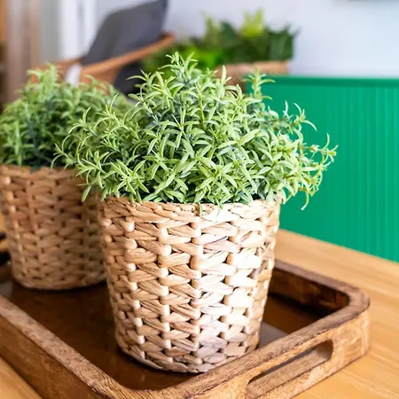 T2 Dina's Place * 纳扎雷