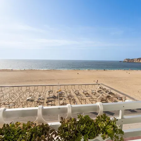 T2 Dina's Place 纳扎雷