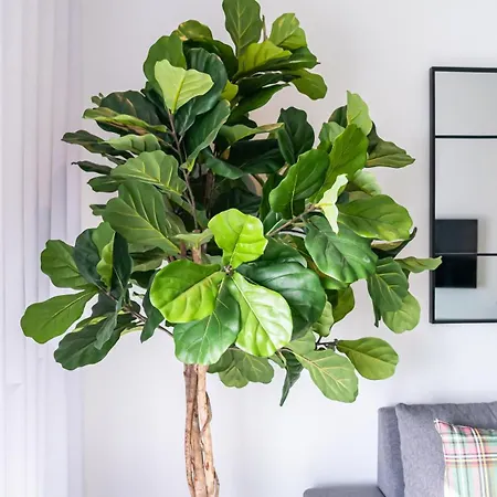 T2 Dina's Place * 纳扎雷