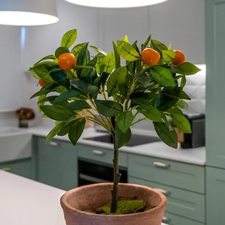 T2 Dina's Place Appartement *