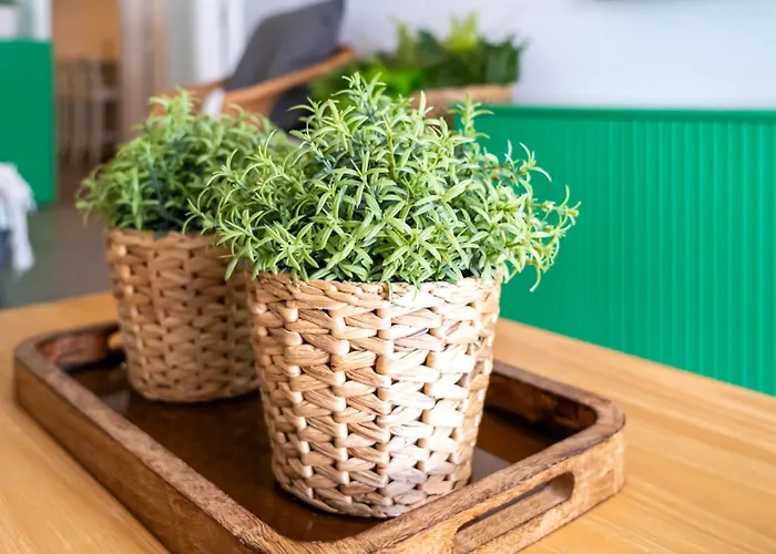 T2 Dina's Place * Nazaré